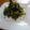 LAYLA*'s cooksnap of when they made 旨い★大根葉ふりかけ.