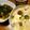クックUGG9I2☆'s cooksnap of when they made とろとろ玉子のシチュー親子丼.