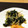 ★Ayan0311★'s cooksnap of when they made ほうれん草ともやしのおひたし.