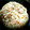 クックGALHBL☆'s cooksnap of when they made 残り物で超簡単！野菜たっぷり激ウマ焼き飯.