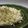 doiko's cooksnap of when they made 炒めないで☆パラパラ!!チャーハン☆.