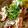 misakitcen's cooksnap of when they made たこ飯！.