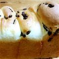 そ～にぃママ's cooksnap of when they made しっとり♪おいしいチョコチップパン♪.