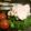 みなみたに's cooksnap of when they made 菜の花の粒マスタード卵サラダ.