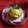mkS2love's cooksnap of when they made サクサクしっとり基本のタルト生地☆.