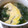 さっとひ's cooksnap of when they made ♪ほうれん草、大根、卵のとろとろスープ.