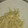 イケメンジュモンジ's cooksnap of when they made えのきたけのちょこっと胡麻和え.