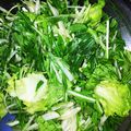 丸々だいすけ's cooksnap of when they made 大根と春菊とネギのサラダ.