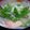 やじやじさん's cooksnap of when they made 寒くなってきたら食べたくなる♡鮭のかす汁.