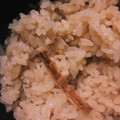 RYK1205's cooksnap of when they made 簡単！たけのこごはん.