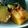 こもも19's cooksnap of when they made 少しの調味料でヘルシーかぼちゃの煮物.