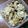 抹茶もつこ's cooksnap of when they made 漬け物？超簡単白菜と塩昆布.
