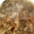 ポポポポポフィ〜♡'s cooksnap of when they made 離乳食【中期】ひじき★ダシ煮粥♪.