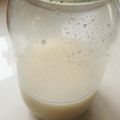 千歳緑's cooksnap of when they made 酒粕酵母　酵母液～元種.