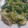 つかっtea's cooksnap of when they made 小松菜ときのこの醤油マスタード炒め☆.