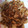 ayacan♡'s cooksnap of when they made 豚肉と玉ねぎの香味炒め.