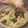 SASAぴー's cooksnap of when they made 海苔が決めて!!☆大根サラダ.
