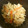 じゅんころっち's cooksnap of when they made 鶏と切干大根の炊き込みご飯.