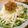☆おCHIBIこ☆'s cooksnap of when they made パリパリ！大根と水菜のじゃこサラダ.
