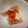 ラブリークッキー's cooksnap of when they made 生ハムとトマト☆カプレーゼ風サラダ.
