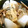 Giabbico's cooksnap of when they made あと一品…大根と油揚げの炊いたん.