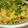 10003's cooksnap of when they made ちらし寿司.