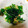 えびちゃん♪♪'s cooksnap of when they made 失敗なし！ほうれん草となめ茸和え.