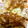 手作り★ママ's cooksnap of when they made 長芋の鉄板焼き☆.