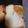 なかつかさのたいふ's cooksnap of when they made 朝食に！アップルクリームチーズサンド.