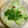 白いぐれーぷ's cooksnap of when they made オイスターソース　de　青梗菜.
