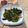vd99bv's cooksnap of when they made きくらげ入りじゃこピー炒め.