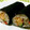 やこんち's cooksnap of when they made 簡単！散らし巻き寿司.