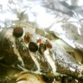 yellowegg's cooksnap of when they made いさきのホイル焼き.
