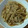 クリス岡島's cooksnap of when they made ＊*お肉やわらか豚のしょうが焼き*＊.