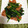 emi0015's cooksnap of when they made ほうれん草とトマトの中華風サラダ　どすぇ.