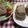 かずちゃん。's cooksnap of when they made 豚挽き肉で作るミートローフ♪.