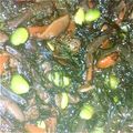 楽ちん楽ちん's cooksnap of when they made ひじきの煮物.