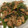 zipnzippy's cooksnap of when they made 簡単！豚肉とピーマンの甘辛炒め.