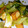 ともママ0120's cooksnap of when they made 厚揚げとチンゲン菜のバタぽん炒め.
