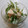 みーらく's cooksnap of when they made 水菜とツナの簡単白和え.