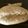 クック6X280I☆'s cooksnap of when they made 甘さ控えめ♪ヨーグルト風味の白パン.