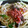 Connie☆K's cooksnap of when they made 豚挽き肉と水菜の梅風味☆和風パスタ.