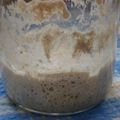 ｱｻﾐﾝ's cooksnap of when they made 自家製天然酵母・元種の作り方.