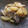 サンショウウオ家's cooksnap of when they made 簡単！！鯖と大根の煮物.