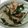 cyupico's cooksnap of when they made 簡単！焼き大根と椎茸の大根おろしぞえ.