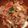 comeko's cooksnap of when they made ＊中華丼＊.