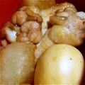 いちのいち's cooksnap of when they made 簡単！手羽元の甘から煮.