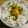 maruru-nn's cooksnap of when they made 釜揚げしらす丼.