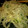 さくら雪山's cooksnap of when they made 安くてうまい！もやしのたまご炒め♪.