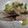 堕天使M's cooksnap of when they made 簡単＊ブリと長ネギの塩炒め.